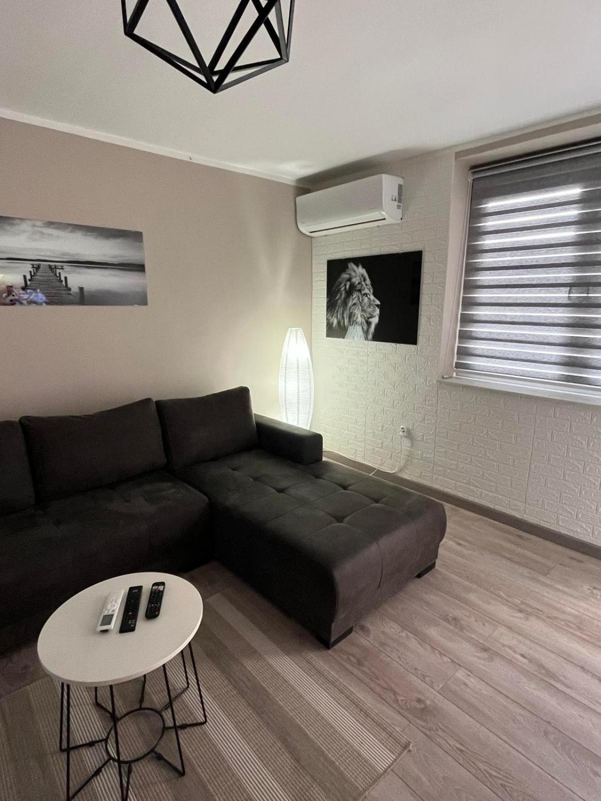 Apartman Petrov Donji Milanovac Exterior photo
